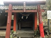 ������������������̎ė��P�_�Ђ̓��e�ʐ^1