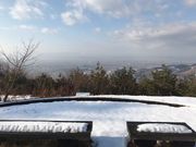 kPĂ郉C_[̓zXJCp[N̓eʐ^1