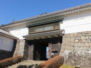 jR񂳂̏c@֖ؖ̓eʐ^1