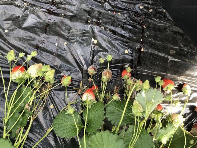 �������m���ŏ���ł�A�A�A_�₢�����R��������