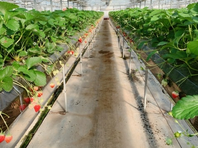 �Ƃ��Ă��E�ݎ��₷���ł��I_�G�ߑ̌��_��@�Ԃ̊C