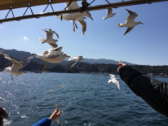 �ԋ߂ŃJ�������݂�܂����B_���ǂ���Í`�V���N���[�Y