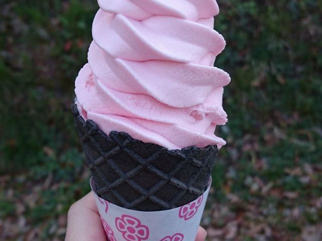 ܂邱񂳂̗zڂ̓eʐ^1