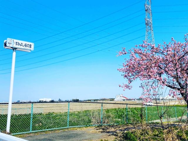 �Y��ȋ�_���݂悵�͒Í�