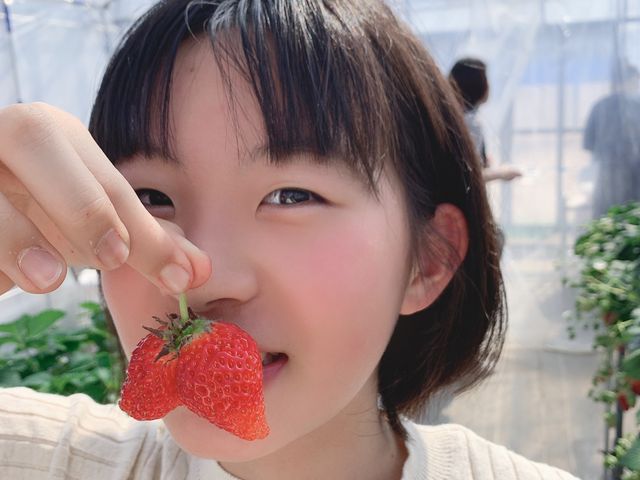 �F�X��䕂�����܂����B2�����������̂ł͂Ȃ��n�`�̎󕲂̊֌W�Ƌ����Ă���܂����B_�������E�u���[�x���[�_���@�x���[�̋�