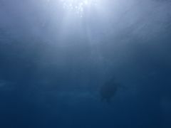 WÕRY~bNA[Xւ̓eʐ^1