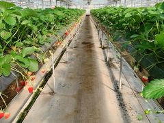 ۂ񂳂̋Gߑ̌_@Ԃ̊Cւ̓eʐ^1