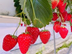 ݂킳̃s[^[pnEXւ̓eʐ^1