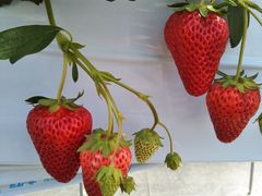 q̃Rt@[g`mxtւ̓eʐ^1