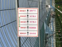 ނ̊ό_Et[Yւ̓eʐ^1