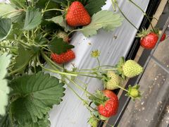 傤̈t@[i--jւ̓eʐ^1