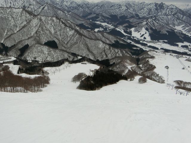 �R������_�⌴