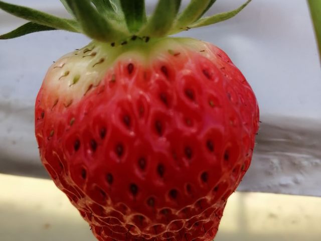 䕍H�[��������