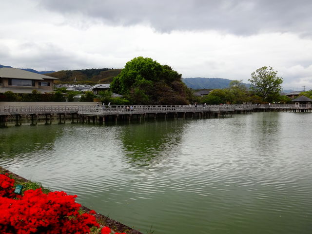 �������r_�����V���{�@�������r