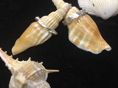 ǂ[̑nH[AgGEgւ̓eʐ^1