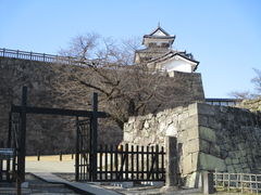 �̂�䂫����̏����Ղւ̓��e�ʐ^1