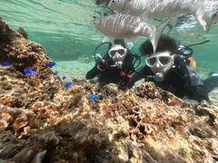 OkinawaDiving Sunsւ̓eʐ^1