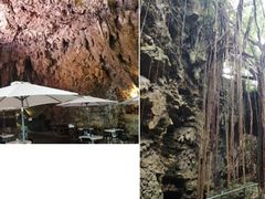 ܂񂳂̃KK[̒Jւ̓eʐ^1