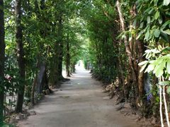 ܂񂳂̔̃tNM؂ւ̓eʐ^1