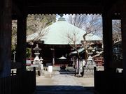 V񂳂̏iѐωj̓eʐ^1