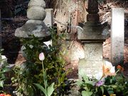 V񂳂̋j[ˁiqG̕j̓eʐ^2