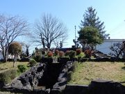 V񂳂̖򑐖ؒ뉀̓eʐ^1