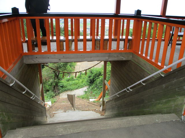 �{���̎Q���̂悤�ł��B��ό������}��ł��B_�F��ߒq�_��