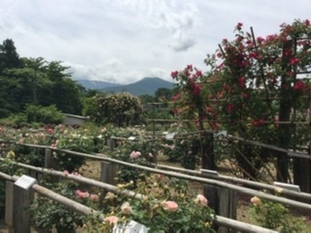 �R��w�i��_�������_�Z���^�[