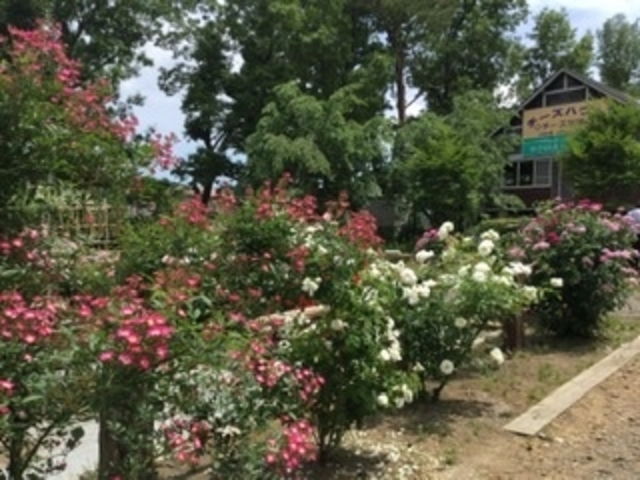 �F�Ƃ�ǂ�̃o��_�������_�Z���^�[