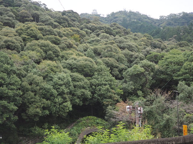 ���؎R�Ɗ򕌏�B_���؎R