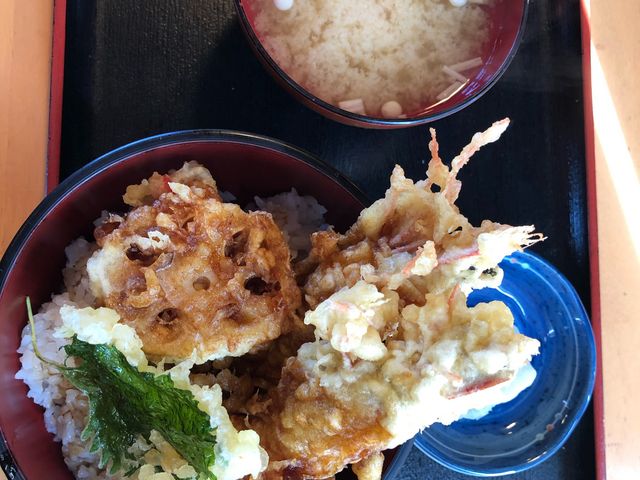 ��K�̃C���J�V��_�򍲖싙����s��