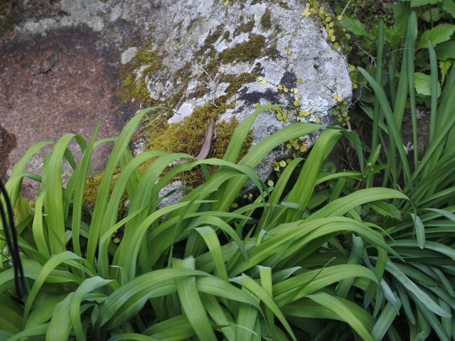 ��_��D��