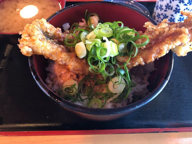 ��K�̃C���J���q�̓V�Ղ��H_�򍲖싙����s��