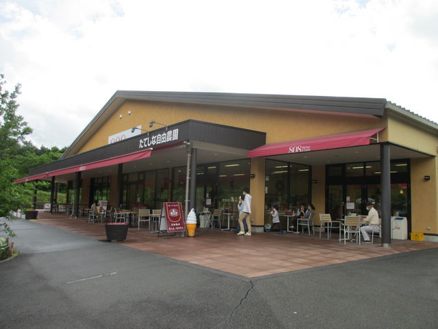 �ʌ����̑S�̎ʐ^�ł��B_���Ă��Ȏ��R�_�� �����X