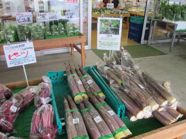 ���̎����̖�؂͗t���Ńg�}�g��t�����Ȃ��A���̎����͂���⡂ł��B_���Ă��Ȏ��R�_�� �����X