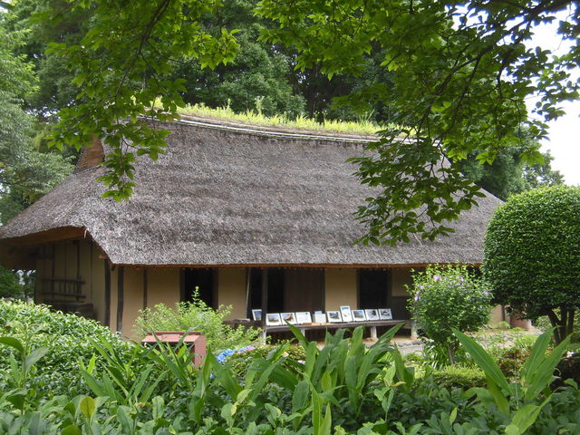 �n���������̏���ƏZ��̓��e�ʐ^1