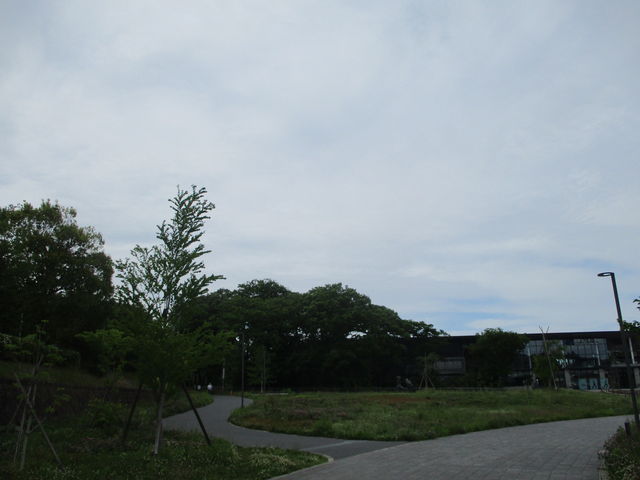 �Z���^�[����_��䍑�ۃZ���^�[