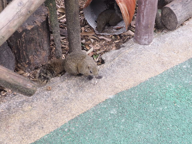 �����B_���؎R���X��