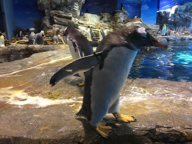 �����̂���������_���֎s�������̂��������فE�C����