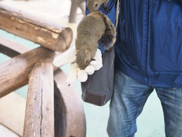 �������������B_���؎R���X��