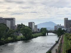 Ȃׂ̖ki茧sjւ̓eʐ^1