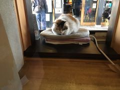 Ղ̋Muwi܃~[WA jւ̓eʐ^1