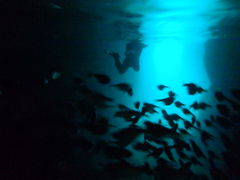 ۂNature Guide Double Rainbow lC`[KCh@_uC{[ւ̓eʐ^6