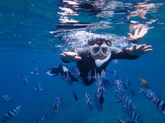 ۂNature Guide Double Rainbow lC`[KCh@_uC{[ւ̓eʐ^7