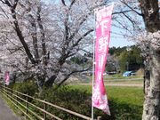 ���ڂ炳��̉����̍����؂̓��e�ʐ^3