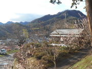 gV[̐MB̊qucv̓eʐ^1