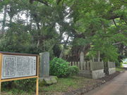 sklfh̖{̑僀N̓eʐ^1