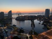 angelmihatti����̃j���[�I�[�^�j�C�����l�v���~�A���̓��e�ʐ^1