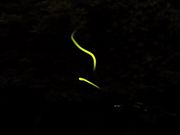 Ƃ񂳂̂炳Xь̓eʐ^2