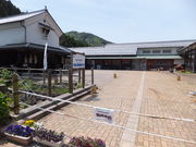 ڂ炳̓̉w ዷFh̓eʐ^1